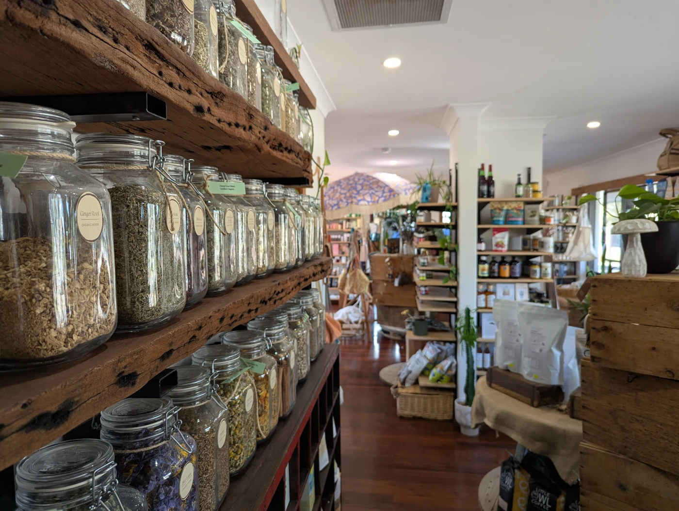 Inside The Wellness Store, with glass jars of herbs on timber shelves and natural products throughout the shop