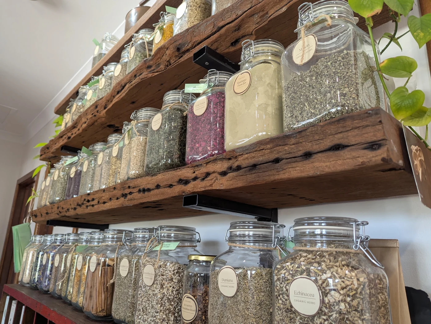 The Wellness Store's range of loose herbs in labelled glass storage jars